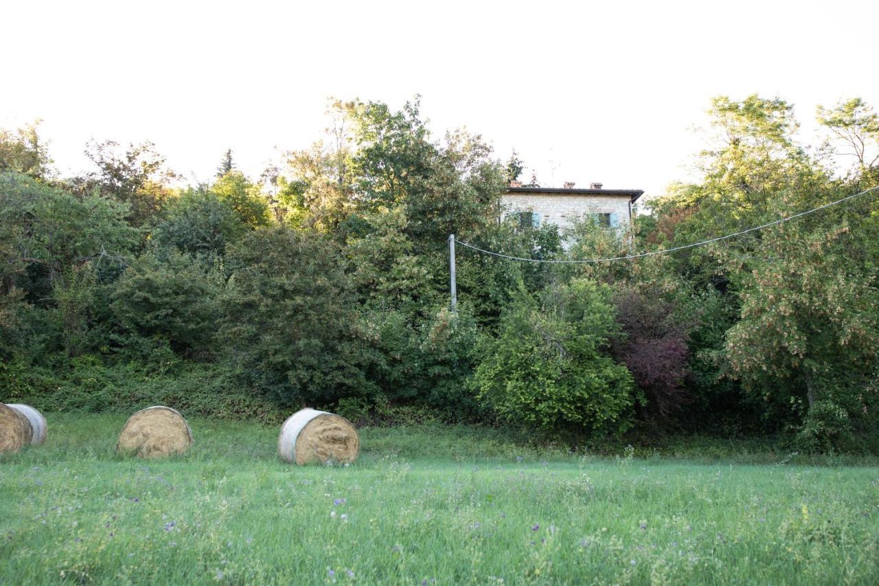 La Marcona Apartment Serramazzoni Exterior foto